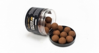Nash Scopex Squid Wafters 24mm