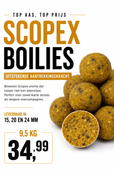 Scopex Boilies 9,5 kg 15mm