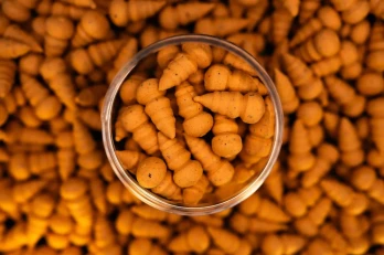 Forgotten Flavours Shrimp [100% NATURAL] wafters