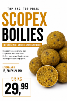 Scopex Boilies 9,5 kg