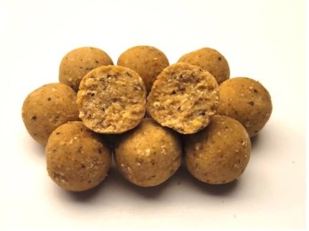 MTC Baits Nutcase Readymades 5kg