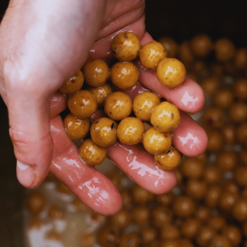 Dynamite Peppered Fruit 15mm 1,8 kg 