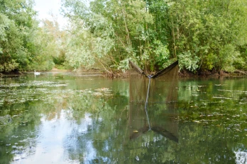 Nash Scope OPS Retract Landing Net 42 ich Sawn Off 