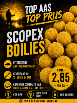Scopex Boilies 9,5 kg