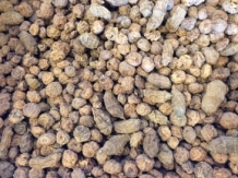 Tijgernoten Mix 6 -15mm 20 kg