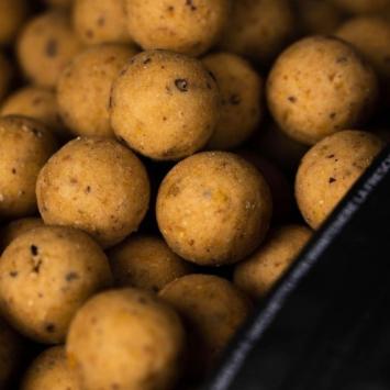 Mainline Shelf Life Boilies Cell 1kg 15mm